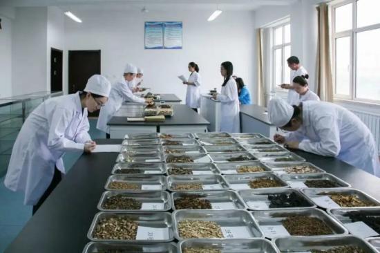 青岛第二卫生学校2022年招生简章