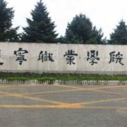 辽宁职业学院单招